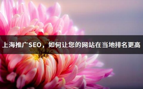 上海推广SEO，如何让您的网站在当地排名更高
