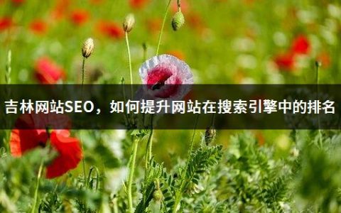 吉林网站SEO，如何提升网站在搜索引擎中的排名