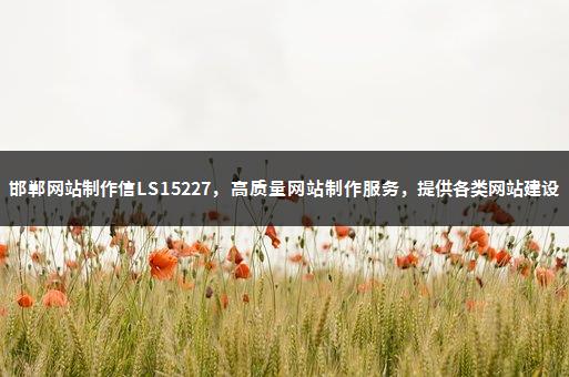 邯郸网站制作信LS15227，高质量网站制作服务，提供各类网站建设-1