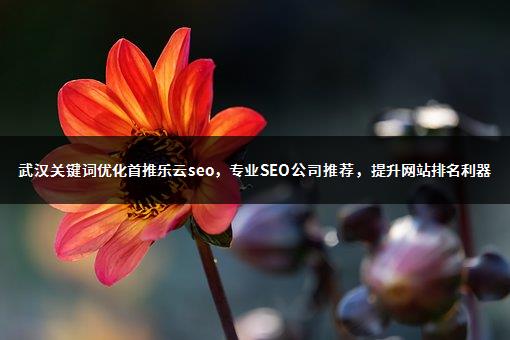 武汉关键词优化首推乐云seo，专业SEO公司推荐，提升网站排名利器-1