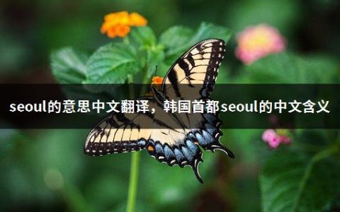 seoul的意思中文翻译，韩国首都seoul的中文含义