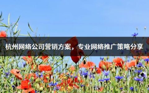 杭州网络公司营销方案，专业网络推广策略分享