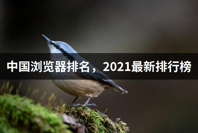 中国浏览器排名，2021最新排行榜-1