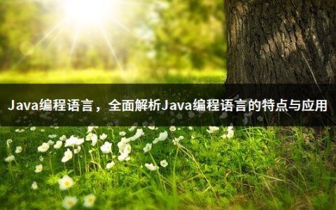Java编程语言，全面解析Java编程语言的特点与应用