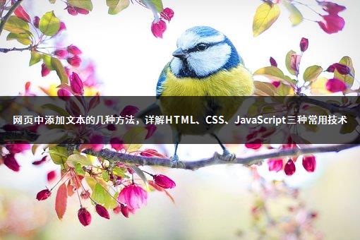 网页中添加文本的几种方法，详解HTML、CSS、JavaScript三种常用技术-1