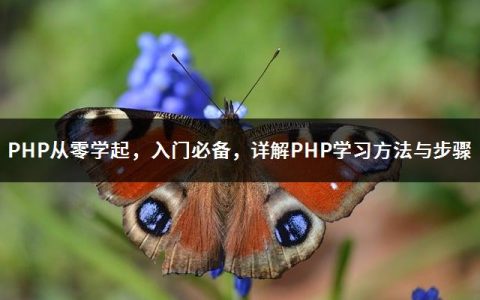 PHP从零学起，入门必备，详解PHP学习方法与步骤