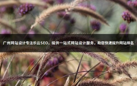 广州网站设计专注乐云SEO，提供一站式网站设计服务，助您快速提升网站排名