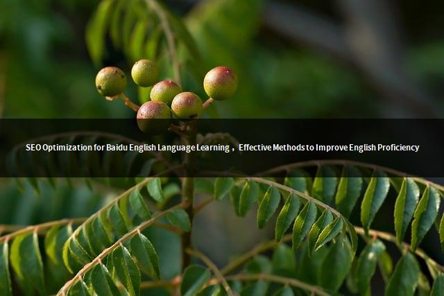 SEO Optimization for Baidu English Language Learning ，Effective Methods to Improve English Proficiency-1