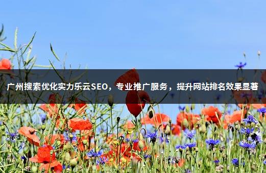 广州搜索优化实力乐云SEO，专业推广服务，提升网站排名效果显著-1