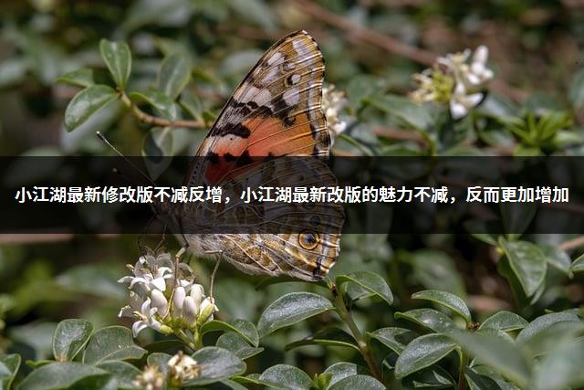 小江湖最新修改版不减反增，小江湖最新改版的魅力不减，反而更加增加-1